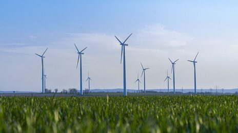 Windräder stehen auf einer grünen Wiese